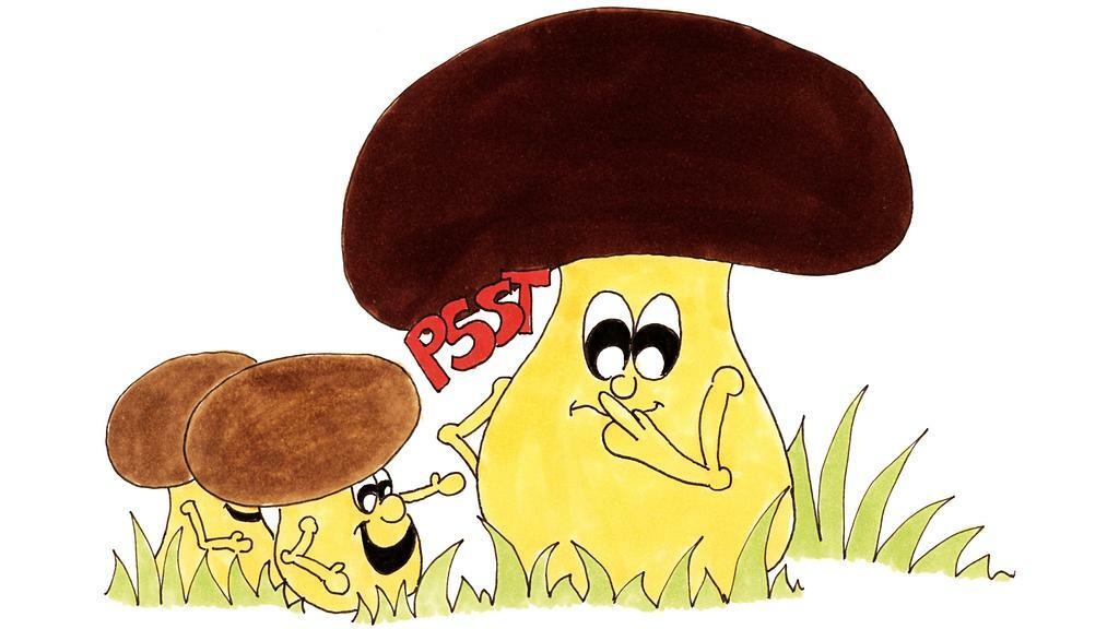 Atelier - Le Champignon 6-10 ans
