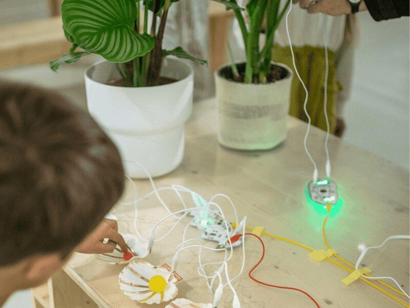 Orchestrer le vivant - Stage jeune public