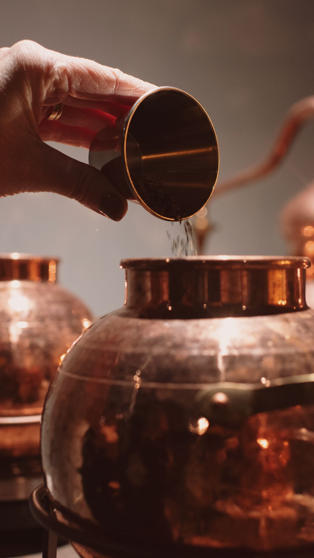 Gin School - Create your own gin !