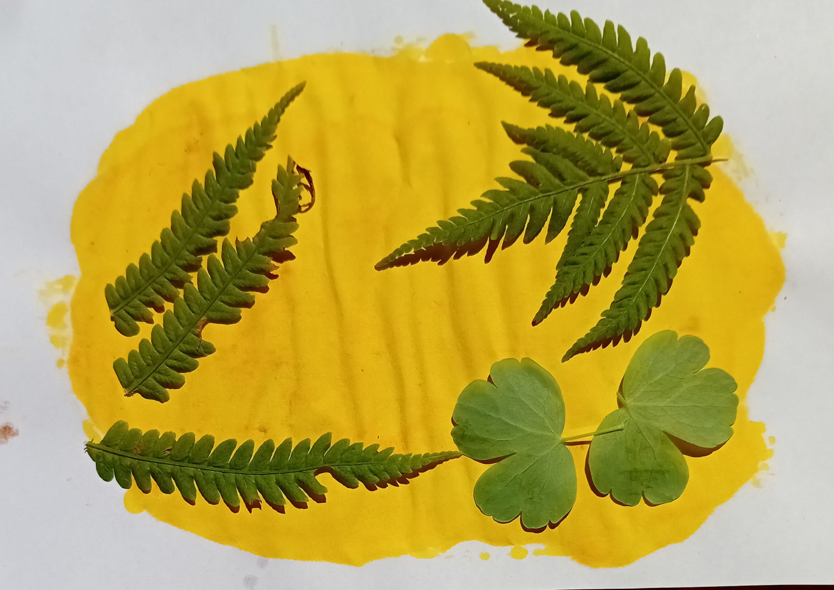 Children's/family science workshops: pH magic