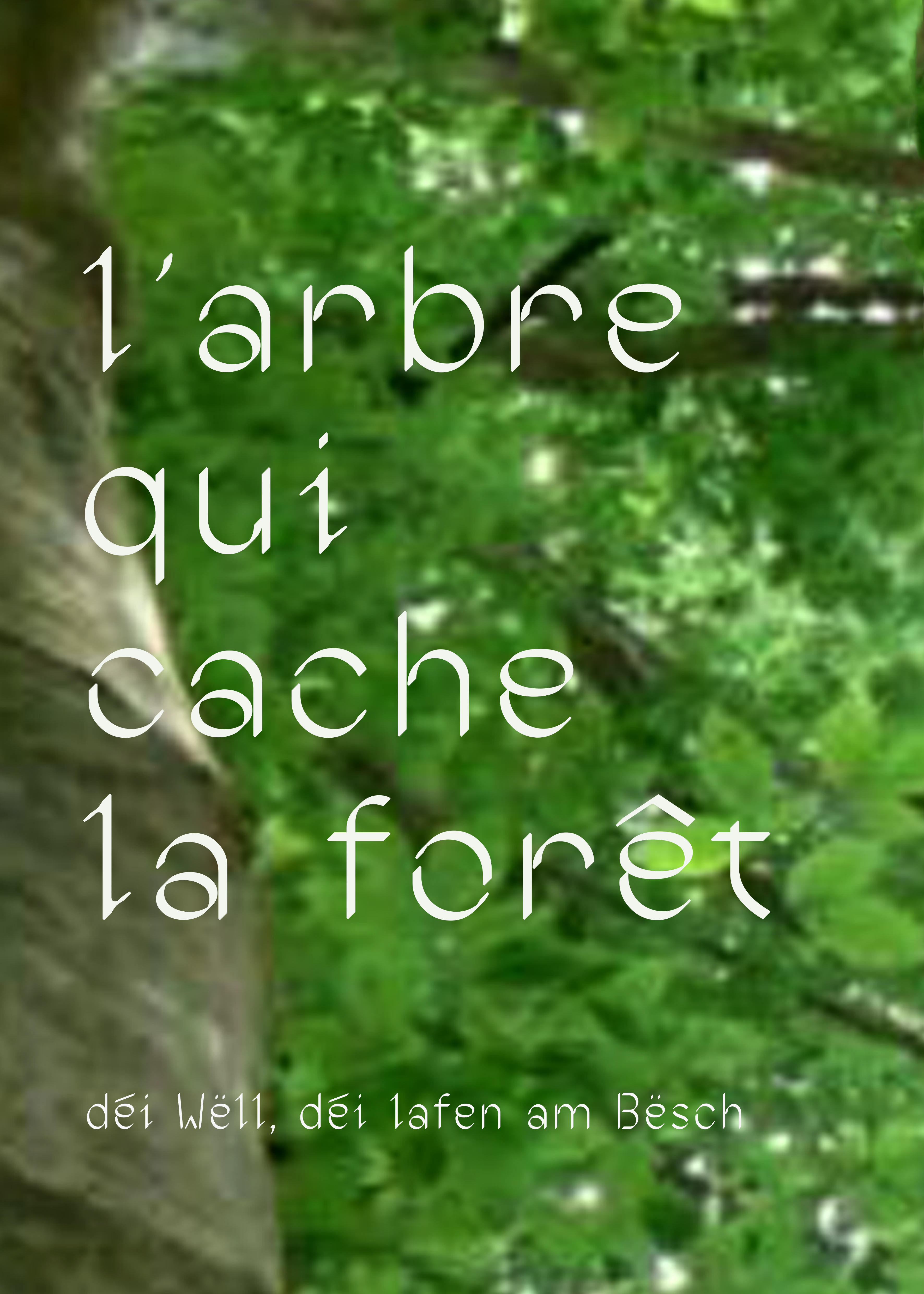 Atelier des sens (toucher) « reconnaissance de l’arbre »