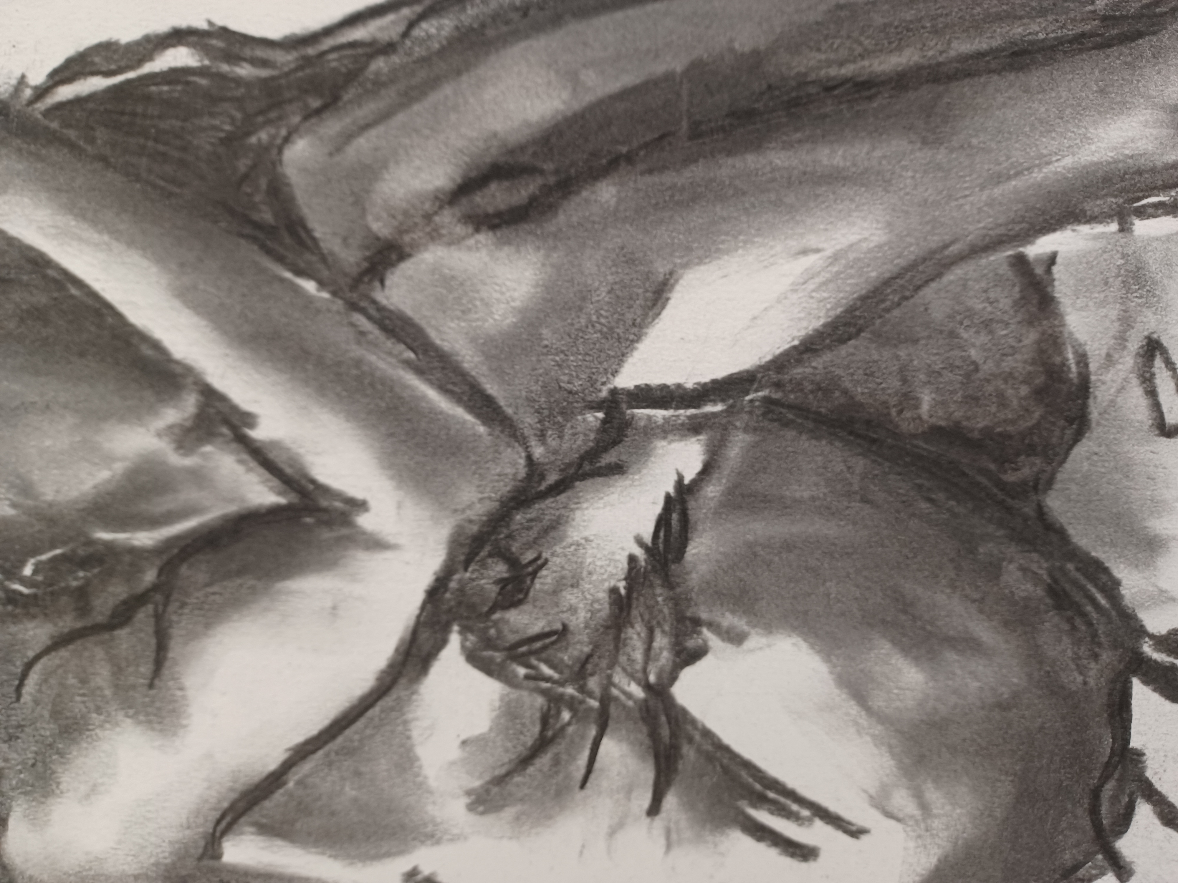 MasterClass "Hand to Hand" Drawing Performance Live Model