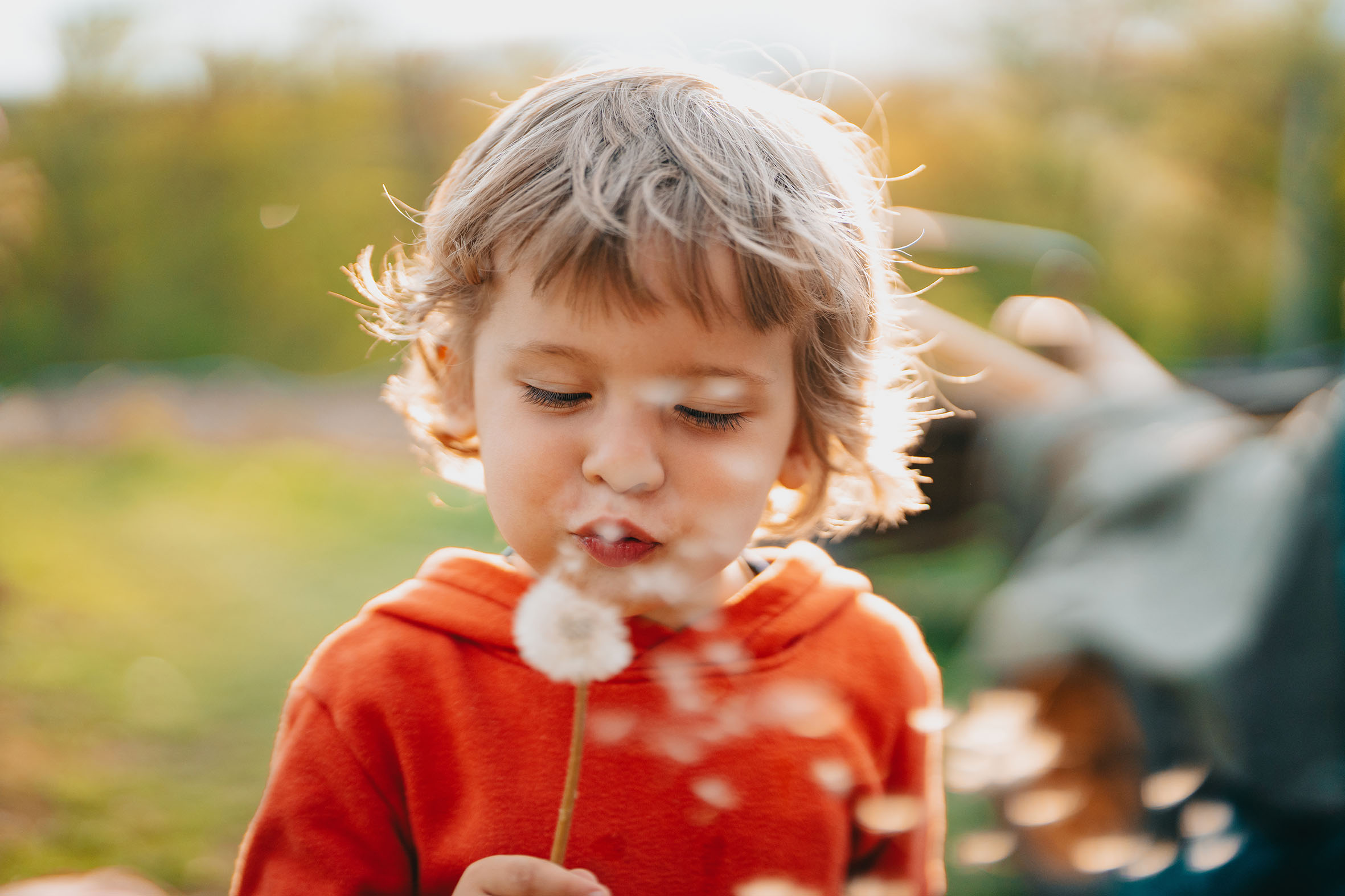 Conference: IFS - Internal Family System - An innovative psychotherapeutic model