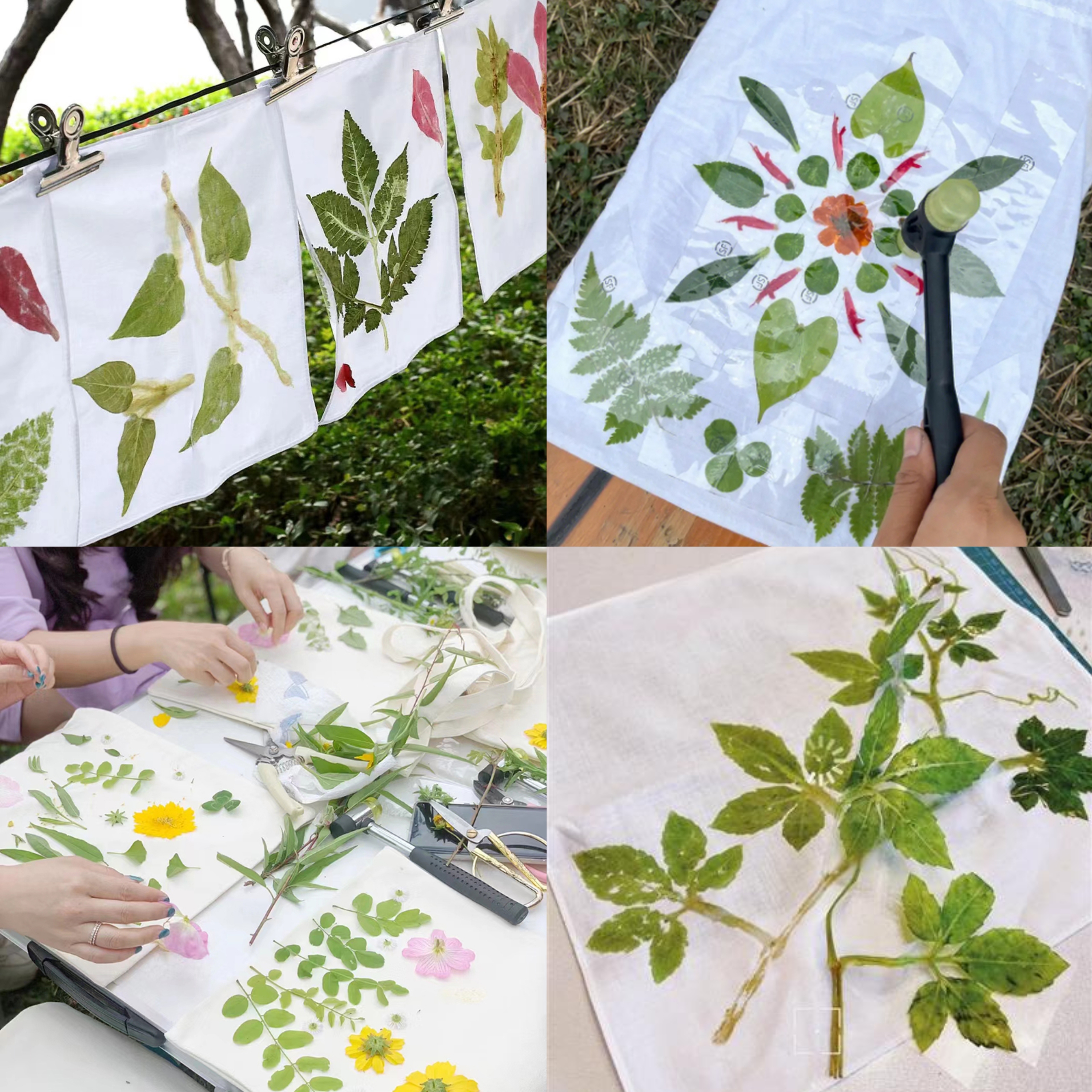 Atelier de pilonnage de fleurs - Rejoignez-nous pour cueillir les fleurs de cerisier