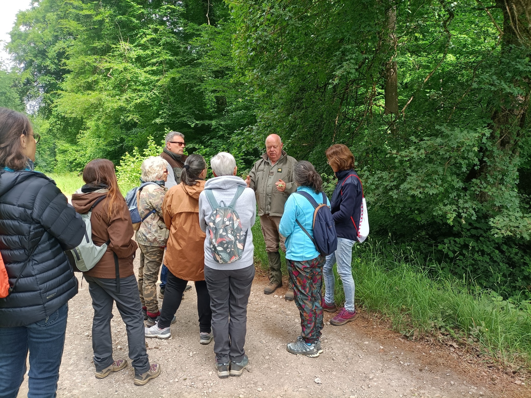 Outing in the forest