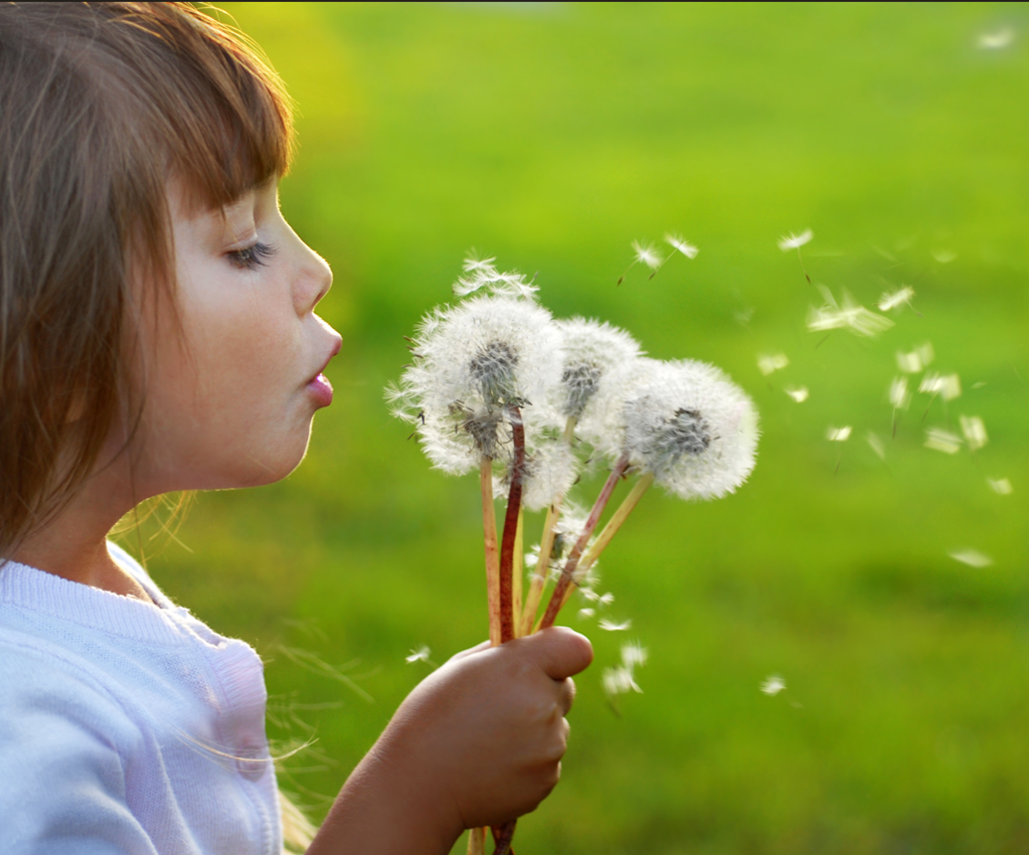 Workshop: IFS - Internal Family System - An innovative psychotherapeutic model