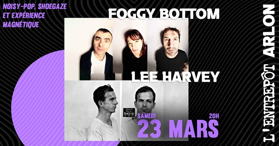 Lee Harvey & Foggy Bottom - noisy pop