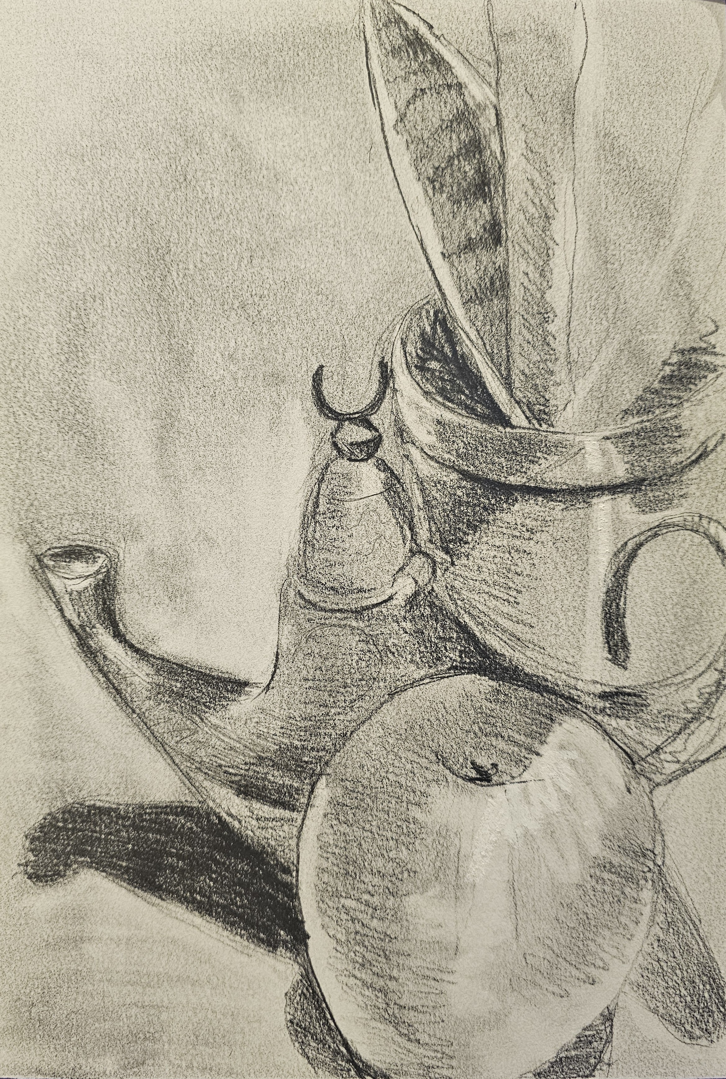 Drawing Basics: Unlock Your Artistic Potential