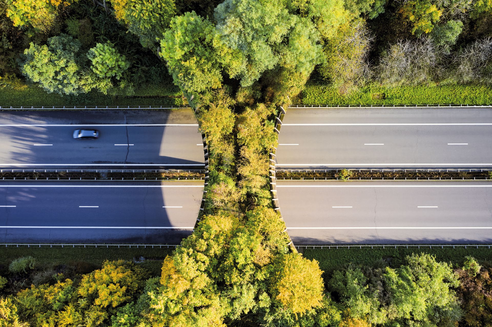 Exhibition "Nature and Infrastructure" - Andrés Lejona