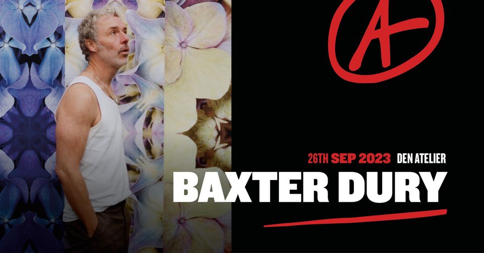 Baxter dury - concert