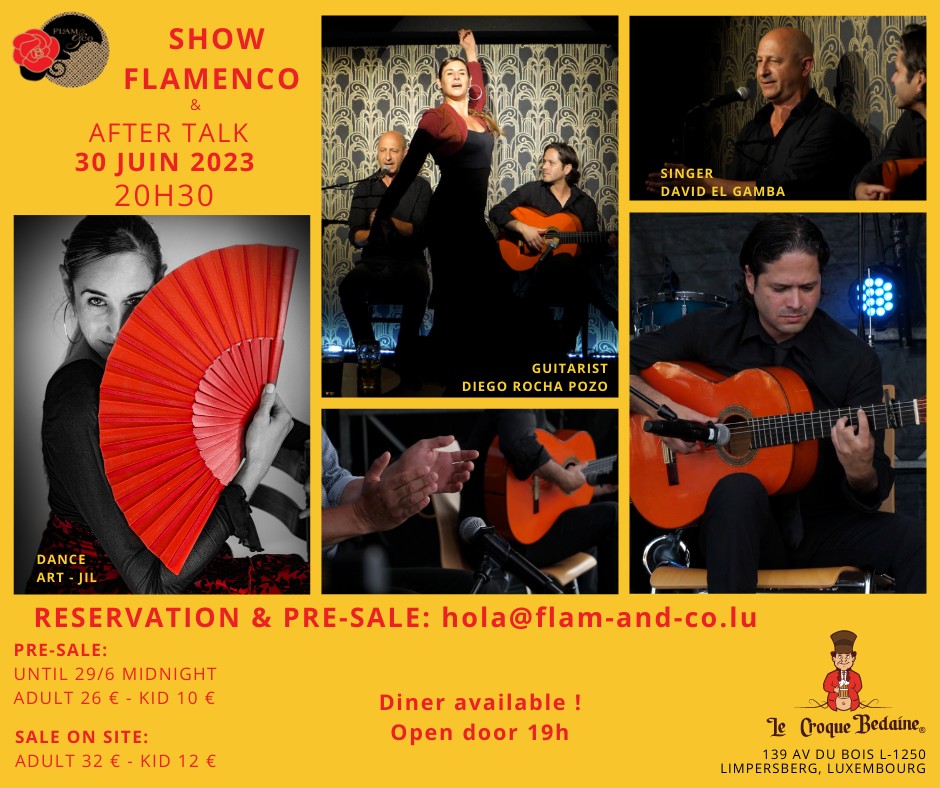 Show Flamenco & After Talk