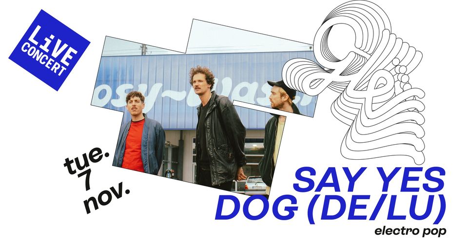 Say yes dog - Live concert