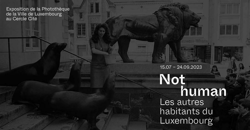 Opening - Exhibition Not human. The other inhabitants of Luxembourg