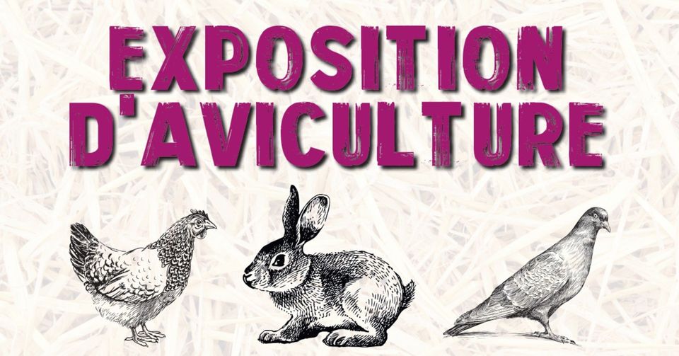 Exposition d'aviculture