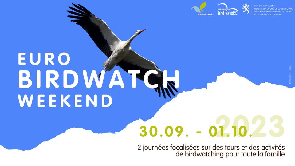 Euro Birdwatch Weekend 2023