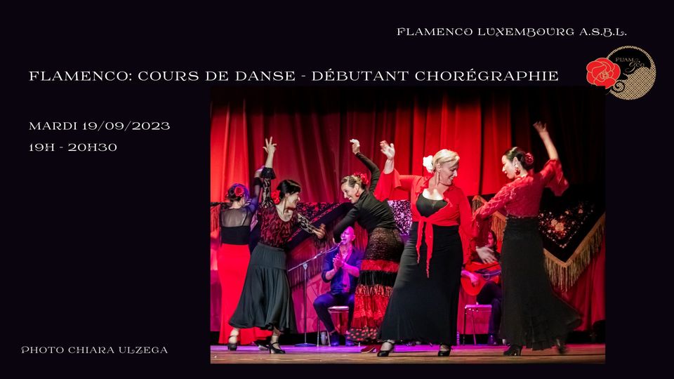 Danse Flamenco : niveau débutant chorégraphie