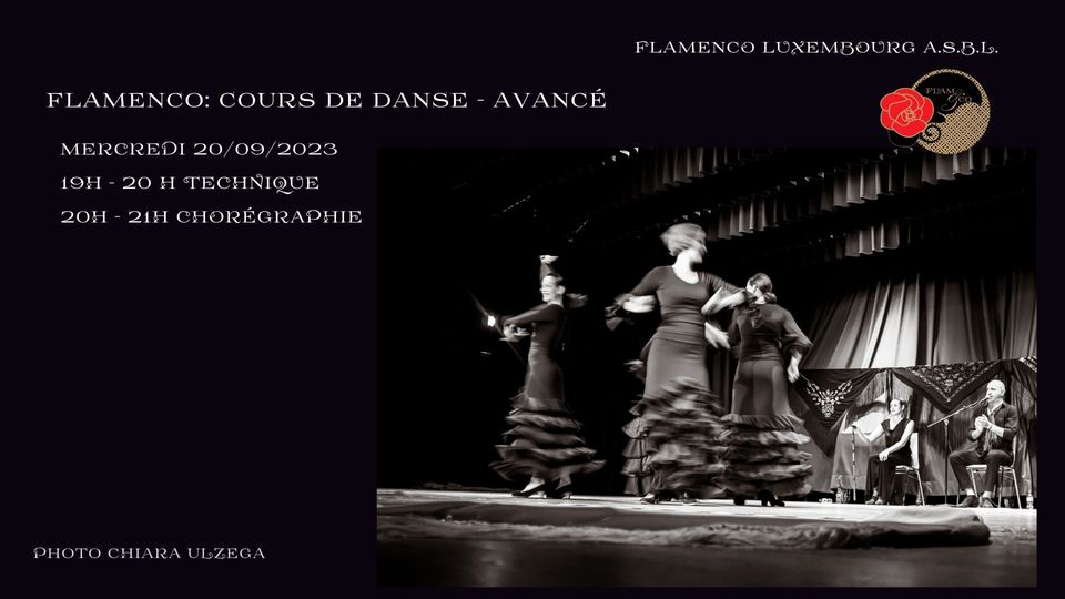 Danse Flamenco : niveau avancé