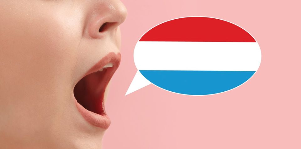 Conférence Langue et littérature au Luxembourg - Resonanz
