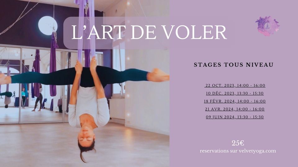 L'art de voler: Stage Air yoga + Hamac aérien