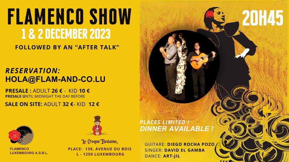 Show Flamenco and after talk