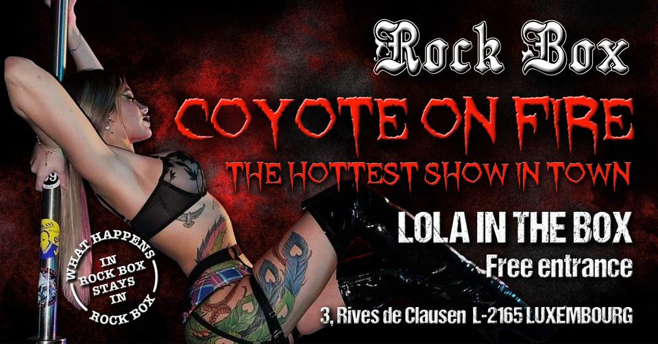 Coyote Show - Lola