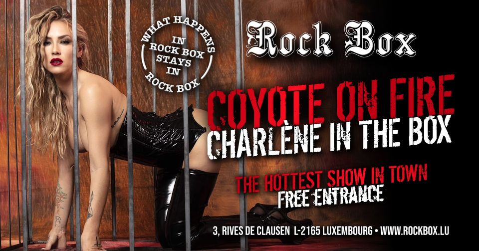 Coyote Show - Charlène in the box