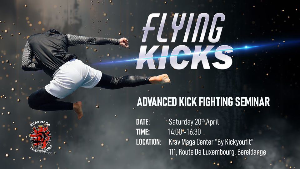 Flying Kicks : Séminaire spécial d'arts martiaux