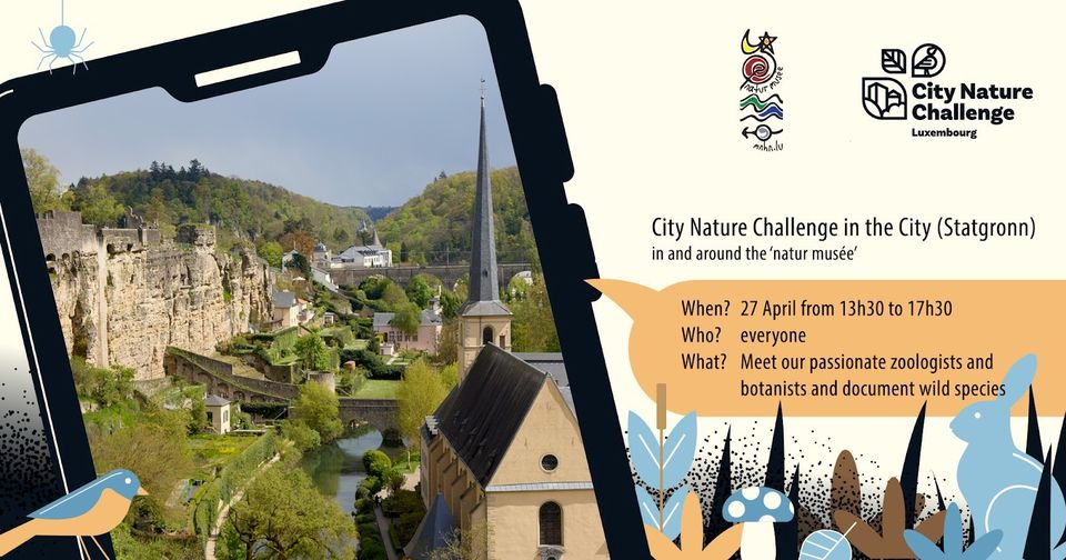 City Nature Challenge in the City