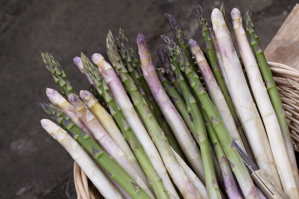 Cooking class: Asparagus