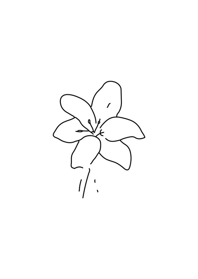 Sowing - Tanoé Ackah rain lily