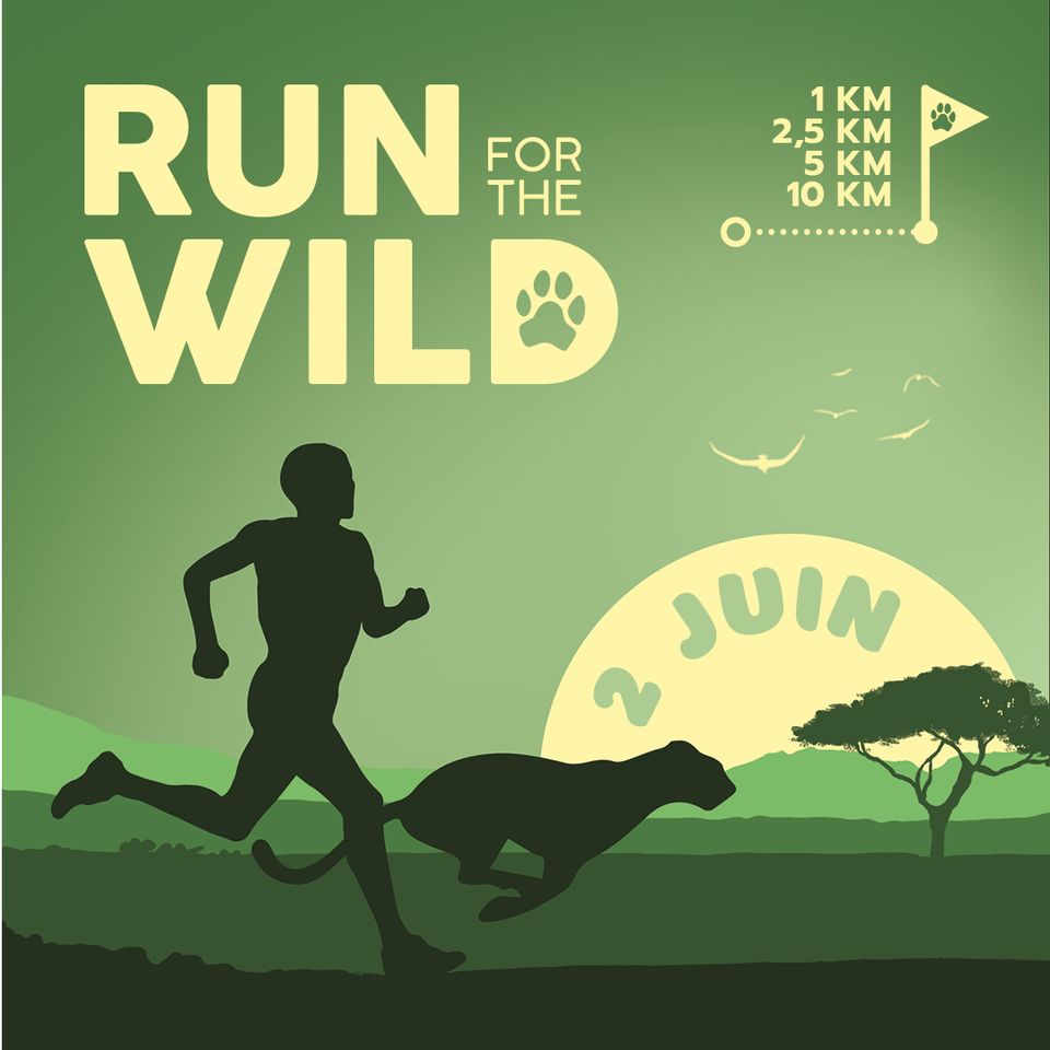 Run for the Wild