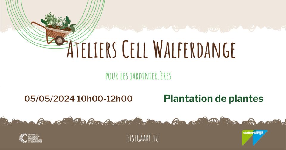 Atelier CELL: Plantation de plantes