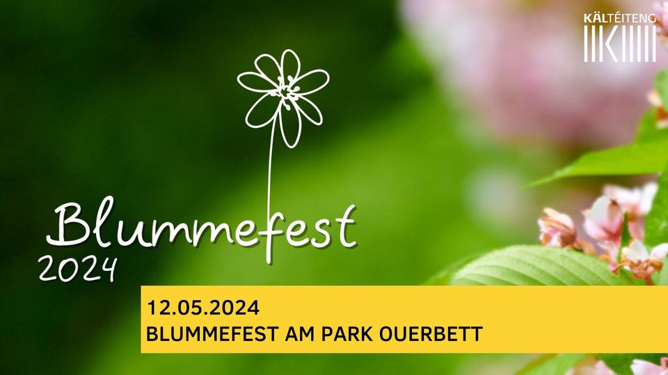 Blummefest 2024