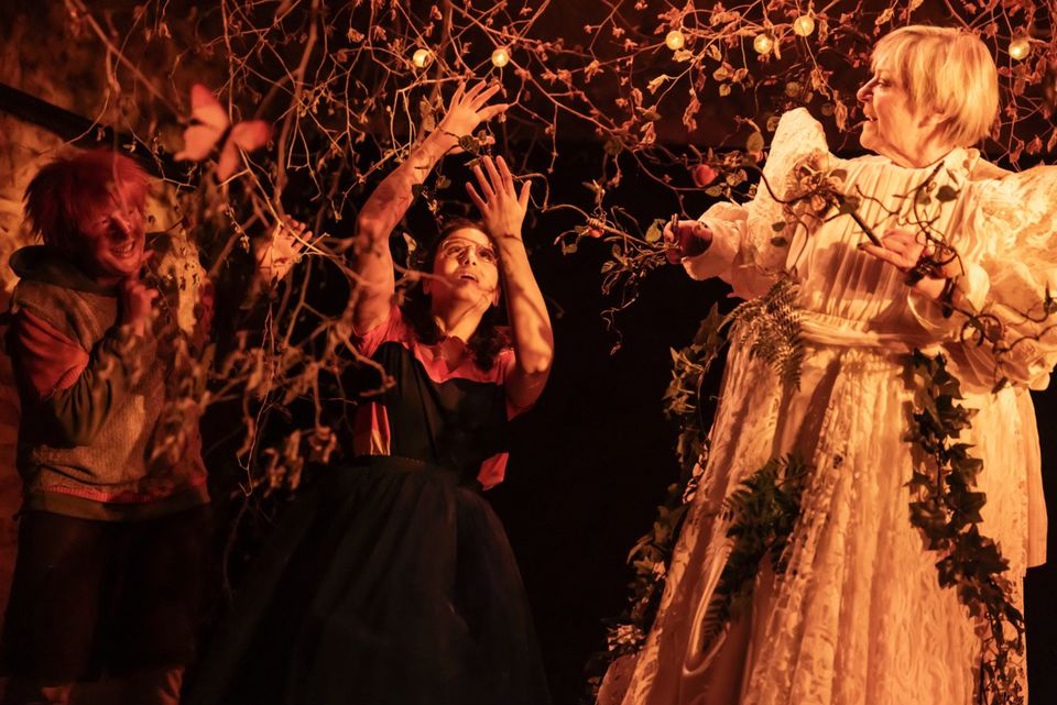 Julie and the Apricot Boy - Young Public Theatre