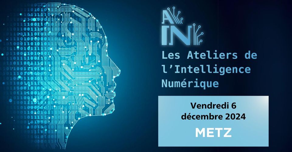 The Digital Intelligence Workshops