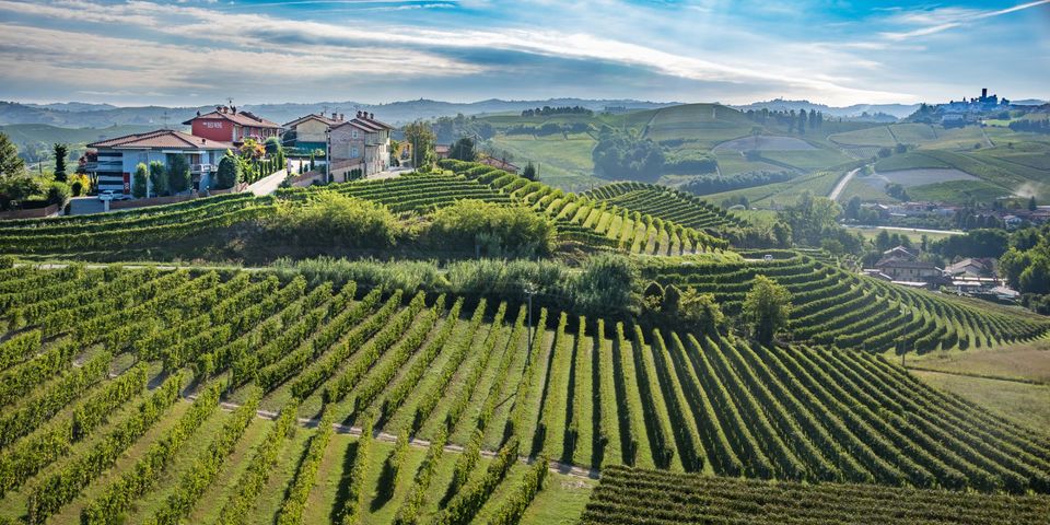 Rencontres Producteurs : Dégustation des vins de la Maison DonnaFugata en présence du producteur