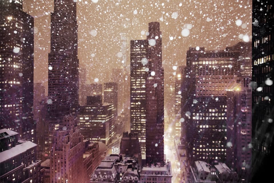 Photography Exhibition: The Climate Exploration Through the Lens of Christophe Jacrot