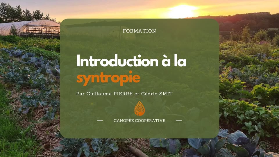 Introduction à la syntropie