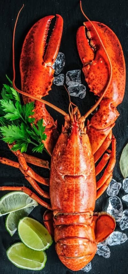 Lobster Menu