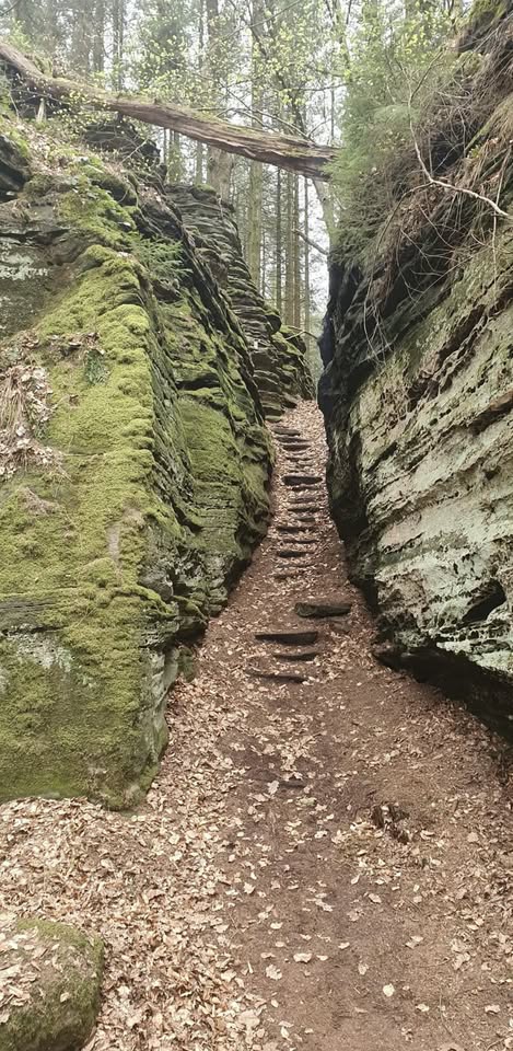 Hiking at Bollendorf