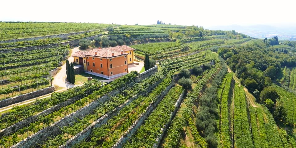 Rencontres producteurs : dégustation des vins du domaine Speri en présence du producteur