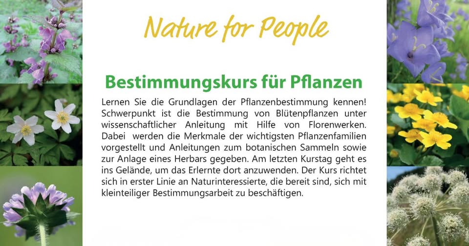Cours de détermination des plantes