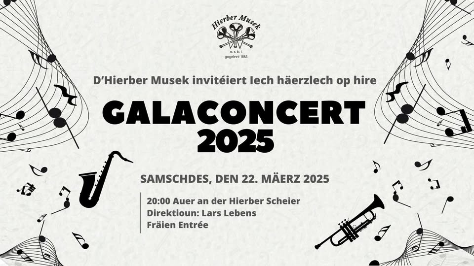 Concert gala de la musique de Hierber