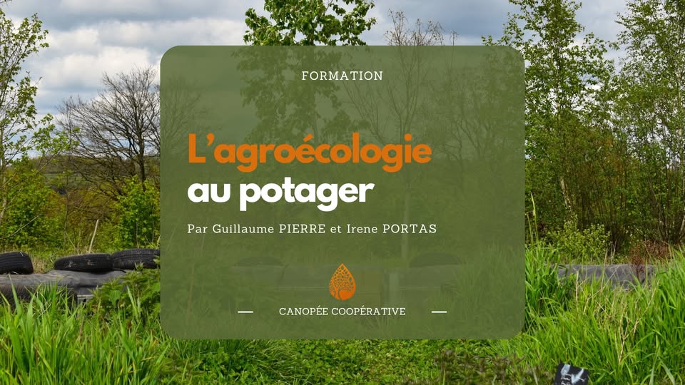 L'agroécologie au potager