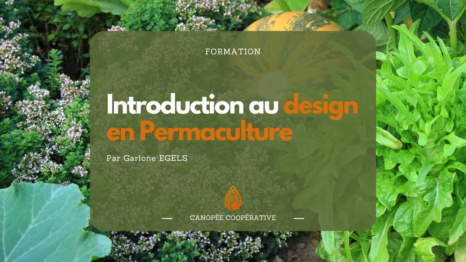 Introduction au design en permaculture