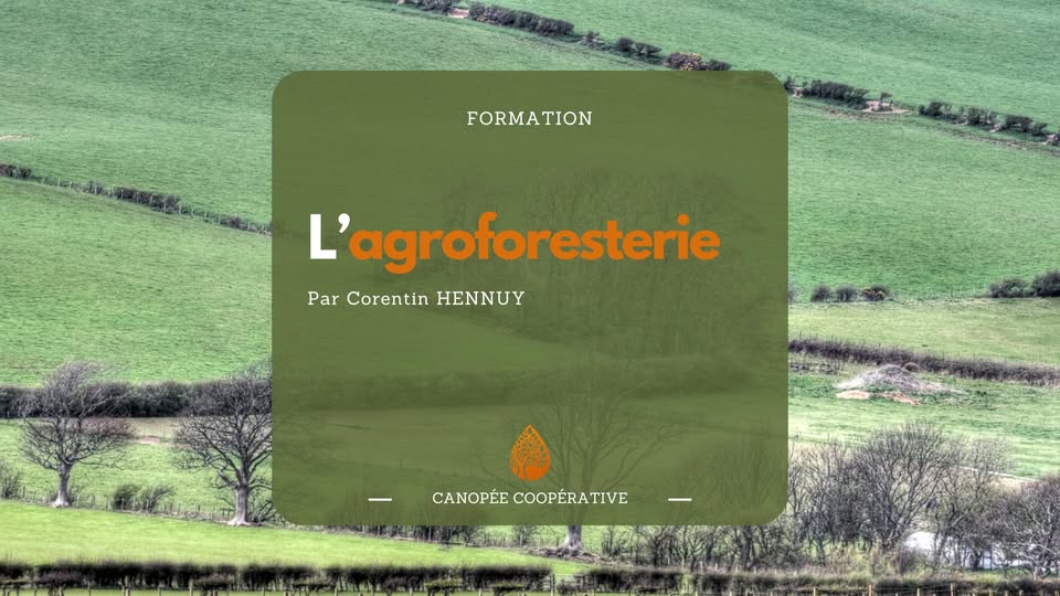 L'agroforesterie
