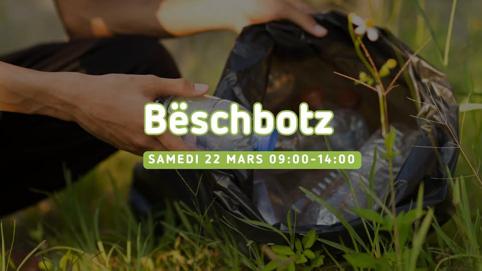 Big cleaning - Forest cleaning