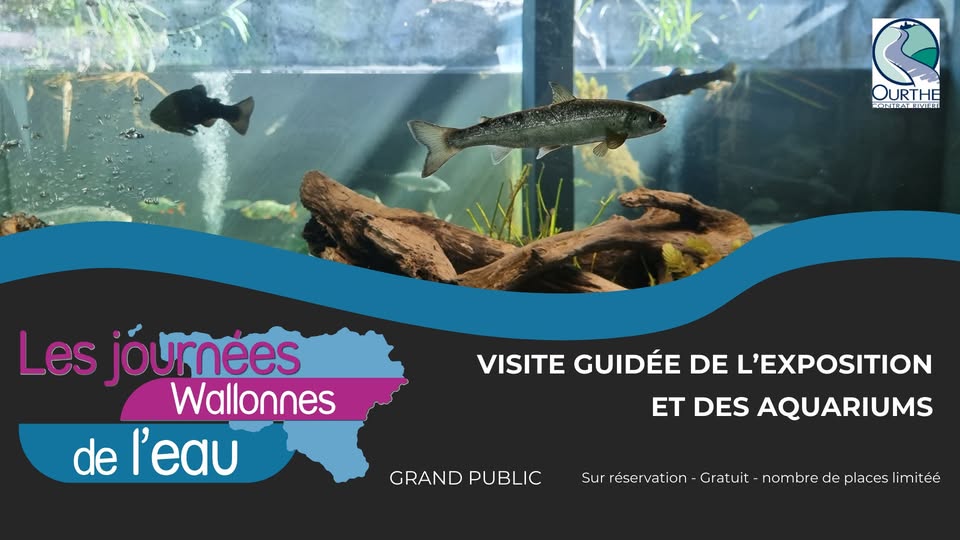 Journée Wallonne de l'Eau - RIVEO