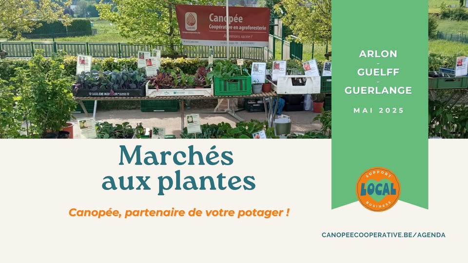 Marché aux plantes