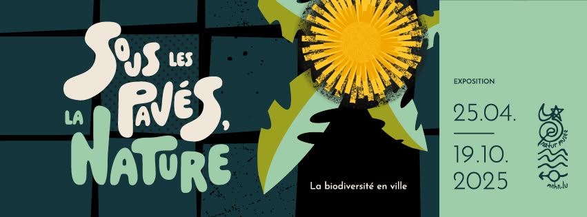 Visites guidées : Sous les pavés, la nature